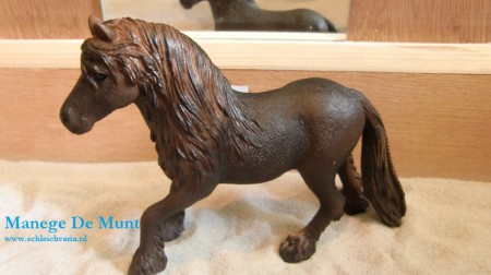 Fynn is een ontzettend leuke pony! ze is heel lief, en doet geen vlieg kwaad. Wel vind ze veel dingen erg moeilijk, en kan dus eens wegrennen of een bokje geven. Maar niet uit kwaadheid.
