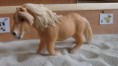 /album/fotogalerij-onze-paarden/doodle-jpg/