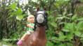 /album/fotogalerij-fotos/manege-jpg/